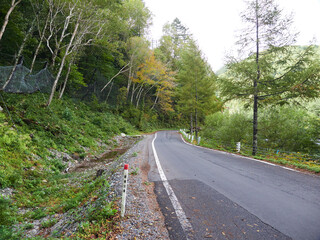 Fototapeta premium 秋の観光名所上高地の森と道路の風景