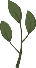 Green Branch with Three Leaves