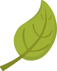 Illustration of a Green Leaf