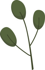 Olive Green Branch with Leaves Illustration