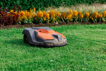 Robotic Lawn Mower on Green Grass