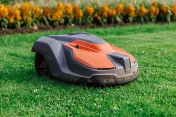 Robotic Lawn Mower on Green Grass