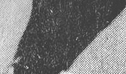 Grunge old paper halftone rough texture shabby dirty distressed scratched abstract pattern retro vintage effect overlay transparent scan negative black and white grey monochrome background preset png