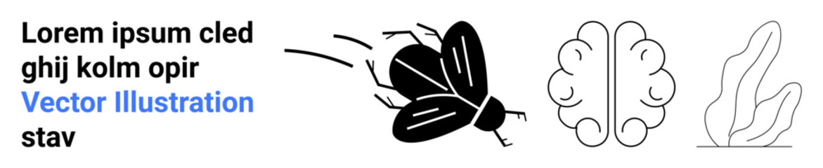 Nature, biology, abstract design, human mind, thinking, creativity. a flying insect, a brain and abstract plant outlines. Nature and biology merged visually with creativity and thinking concepts