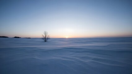 Blue Hour Snowfield Minimal Scene