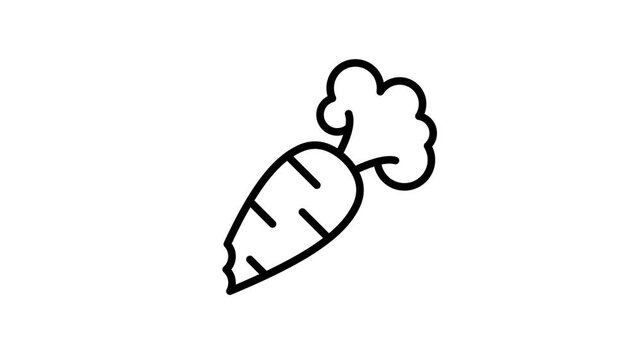 Carrot, daucus, organic, vegetable, healthy, natural, diet,