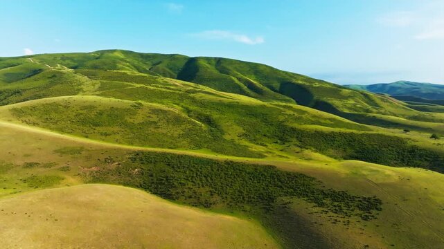 Forward flying drone view of serene rolling hills with green and golden grass under clear sky in Kyrgyzstan