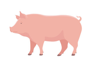 Pink pig side view. Farm animal. Vector illustration isolated on a white background