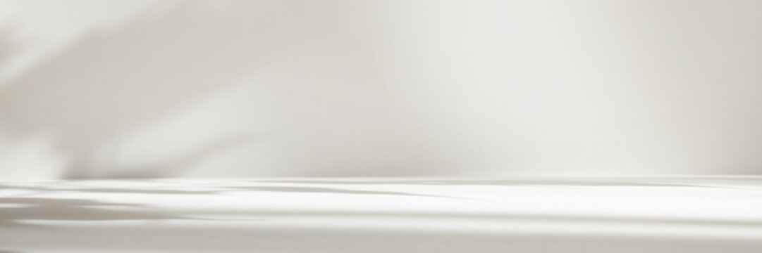 Abstract white color studio background for product presentation. Empty room with shadows of window and flowers and plant leaves . 3d grey room with copy space. Summer concept. Blurred backdrop. Banner