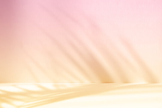 Abstract pink color gradient studio background for product presentation. Empty room with shadows of flowers and plant leaves. 3d orange room with copy space. Summer concept. Blurred backdrop