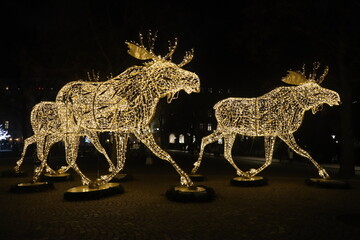 Magical Christmas street decorations in Stockholm featuring bright light installations of reindeer and white trees.