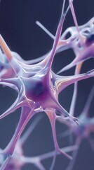Neuron cell glowing in purple and orange with synapsis. Abstract neural network structure. Neuroscience, brain activity, and biological connection concept.