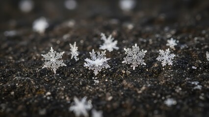 Snowflakes on Dark Rock Surface