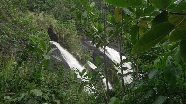 Waterfall in Salto de las Monjas region Colombia jungle tropical forest nature