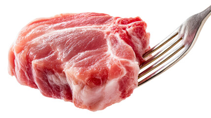 Close up of uncooked pork steak impaled on a metal fork ready for culinary preparation and meal ideas