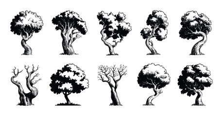 Collection of handdrawn stylistic trees in black ink for natural landscape compositions and environmental themes