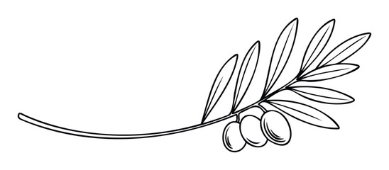 Fototapeta premium Branch with olives and leaves in a minimalist line drawing for food and wellness branding and organic product promotion.