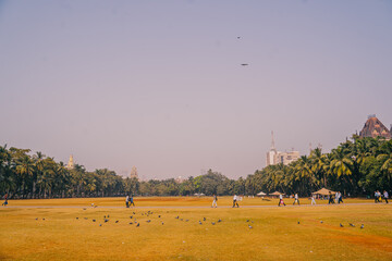 Mumbai, India Urban park in Mumbai with pigeons scattered across the grassy field and city buildings in the distance. A bright, peaceful outdoor scene typical of tropical urban landscapes.