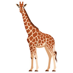 Obraz premium giraffe vector illustration