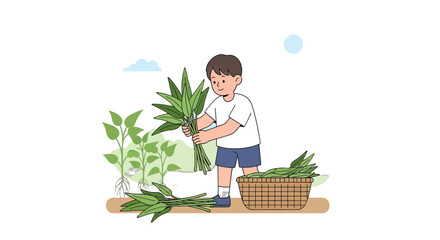 Young Boy Harvesting Fresh Green Vegetable Leaves in Garden for a Meal Preparation Scene