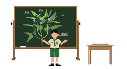 Young Educator Teaching Plant Anatomy with an Illustrated Diagram on a Blackboard