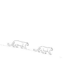 Leopard illustration vector art featuring two leopards in black and white for graphic design projects