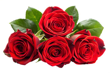 Obraz premium red roses isolated on white background, PNG. AI Generated