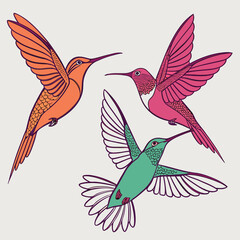 Fototapeta premium Vector illustration three colorful hummingbirds in flight, orange, pink, and green, detailed illustration