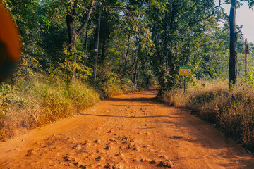 Rural dirt road covered with red laterite soil, surrounded by dense green forest in India. A scenic off-road trail leading through nature, typical for remote village areas and jungle landscapes.