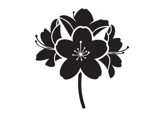 Obraz premium Azalea flower icon, Azalea flower Black silhouette vector
