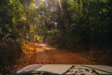 Narrow dirt road winding through dense tropical jungle, surrounded by thick vegetation and deep shadows. A remote nature trail typical for rural India.