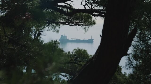 large bulk carriers are in the roadstead off the coast