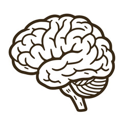 human brain vector illustration