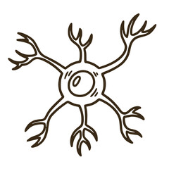 Detailed neuron cell structure illustration for science
