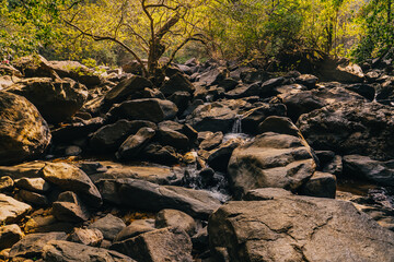 Flowing river surrounded by large rocks and lush tropical vegetation. A peaceful and scenic jungle landscape with warm natural light and fresh running water.