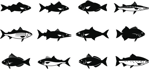 Fish silhouette collection, aquatic species, marine life, underwater icon, fin shapes, body contour, cad drawing flat vector illustration, black sea creatures