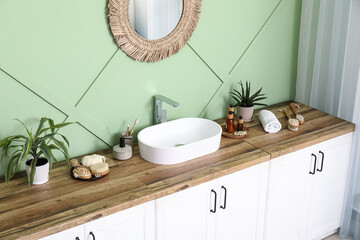 Bath supplies and houseplant near sink in bathroom