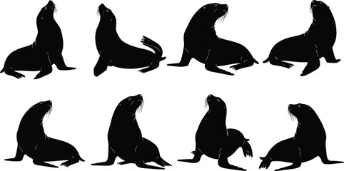 Sea lion silhouette collection, marine animal, wildlife pose, aquatic behavior, coastal species, nature icon, cad drawing flat vector illustration, black shapes, ocean life