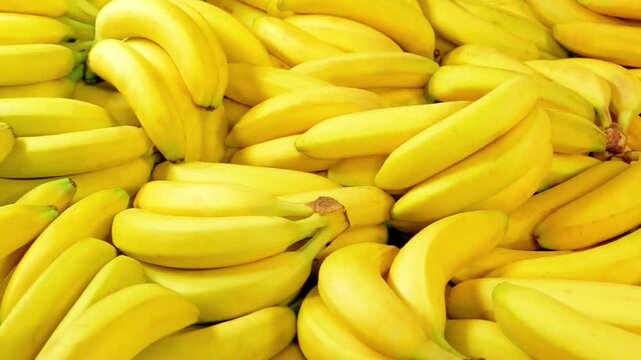 A pile of bright yellow bananas