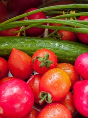 Bunch of fresh vegetables rinsed in the bowl with water in the sink, close up of veggies in the bowl covered with water drops.