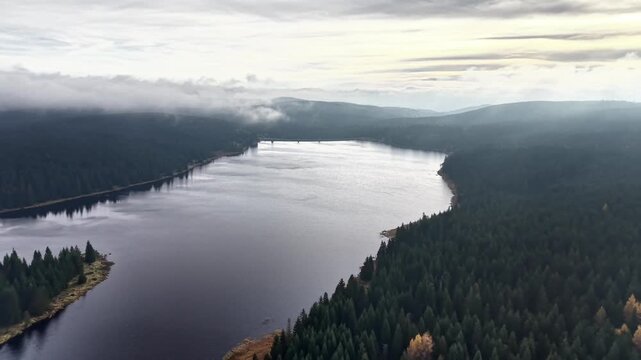 overcast aerial of silver lake shore with low clouds and reflective water, soft grey light over dense pine