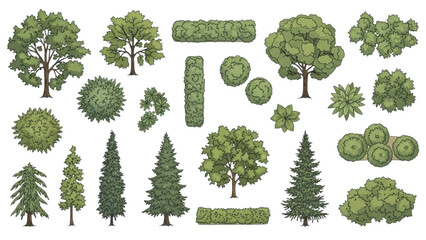 Fototapeta premium Illustrated Set of Tree and Shrub Symbols for Landscape Design Plans.
