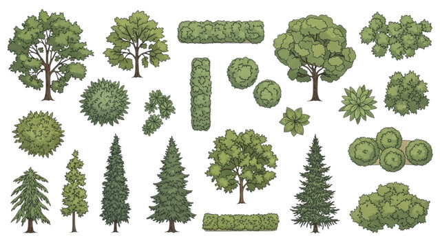 Illustrated Set of Tree and Shrub Symbols for Landscape Design Plans.