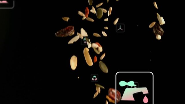 First pieces falling, seed and nut column forming, rotating and densifying while icons showing CO2