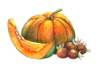 pumpkin and rosehip, watercolor illustration for design, tableware, textiles, and packaging