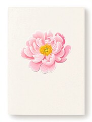 Pink Peony Flower Card