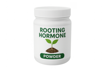 White jar of rooting hormone powder for gardening