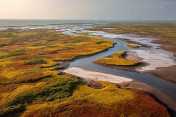 Colorful salt marsh ecosystem from above, with saline lakes and lush vegetation
