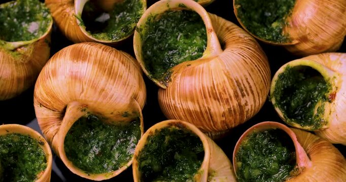 Close-up of traditional escargot in their shells rotating on a plate, filled with vibrant green garlic herb butter, highlighting texture and gourmet presentation.