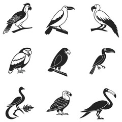 Fototapeta premium Set of vector black and white bird illustrations featuring various wild species, including a parrot, a raven, a crane, a different type of parrot, and a toucan